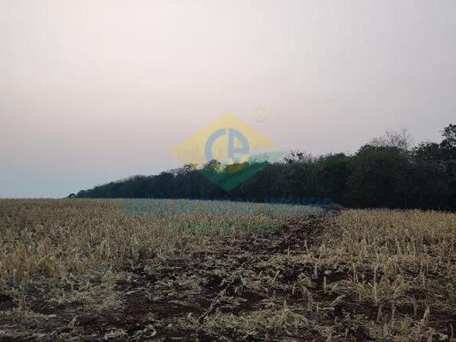 Sítio e chácara venda em Região Geográfica Imediata de Campo Grande, Jaraguari