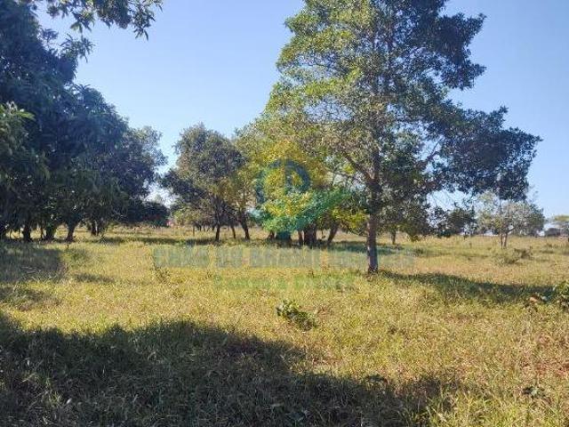 Sítio e chácara venda em Região Geográfica Imediata de Campo Grande, Jaraguari