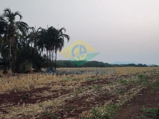 Sítio e chácara venda em Região Geográfica Imediata de Campo Grande, Jaraguari