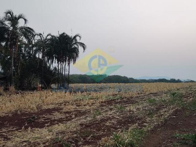 Sítio e chácara venda em Região Geográfica Imediata de Campo Grande, Jaraguari