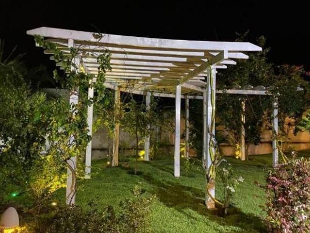 Sítio e chácara venda em Catanduva