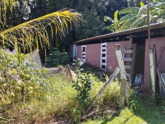 Sítio e chácara venda em Região Imediata de Catanduva, Jataúba