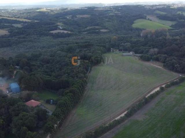 Sítio e chácara venda em Região Geográfica Imediata de Curitiba, Região Metropolitana de Curitiba