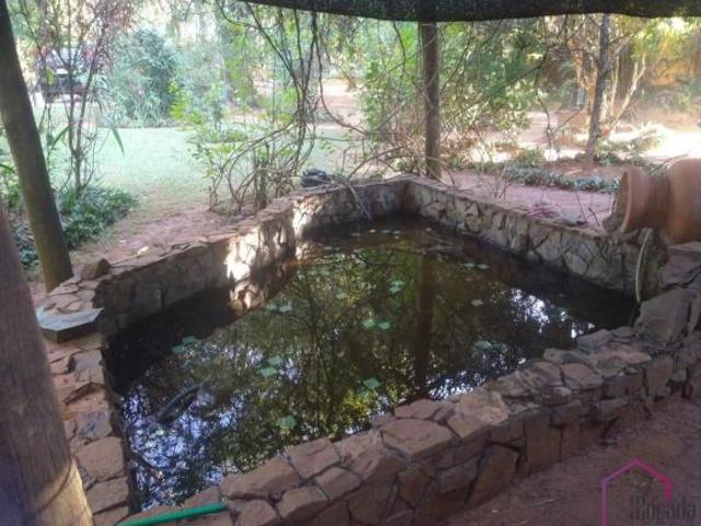 Sítio e chácara venda em Catanduva