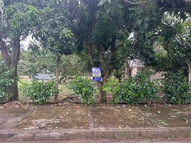Sítio e chácara venda em Região Imediata de Catanduva, Jataúba