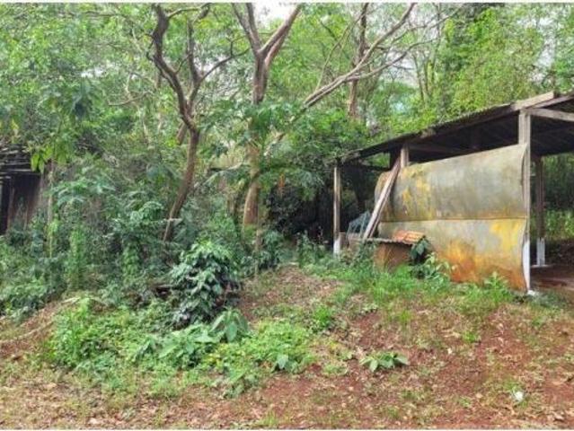 Sítio e chácara venda em Região Geográfica Imediata de Londrina, Jataizinho