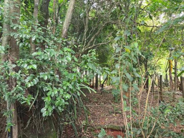 Sítio e chácara venda em Região Imediata de Sorocaba, Região Metropolitana de Sorocaba