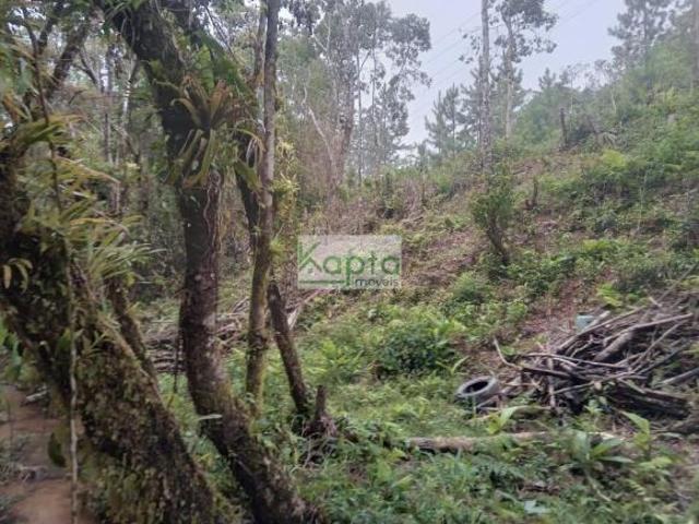 Sítio e chácara venda em Região Imediata de São Paulo, Região Metropolitana de São Paulo