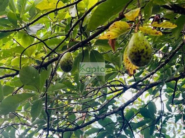 Sítio e chácara venda em Região Imediata de São Paulo, Região Metropolitana de São Paulo