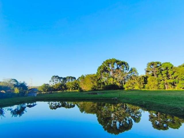 Sítio e chácara venda em Região Geográfica Imediata de Curitiba, Região Metropolitana de Curitiba