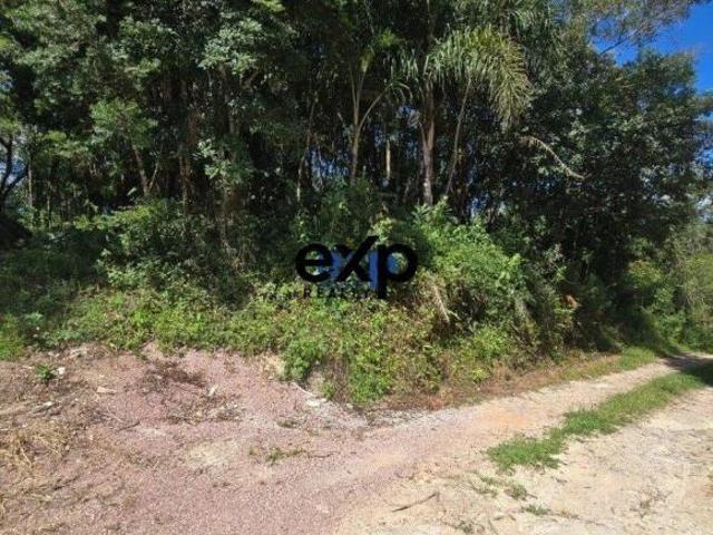 Sítio e chácara venda em Região Geográfica Imediata de Curitiba, Região Metropolitana de Curitiba