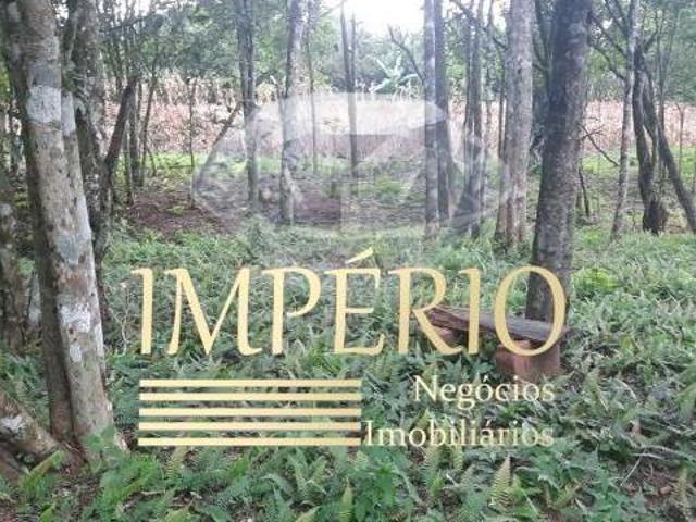 Sítio e chácara venda em Região Geográfica Imediata de Taquara - Parobé - Igrejinha, Três Coroas