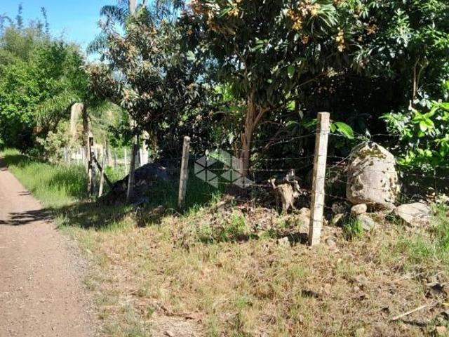 Sítio e chácara venda em Região Geográfica Imediata de Caxias do Sul, Nova Petrópolis