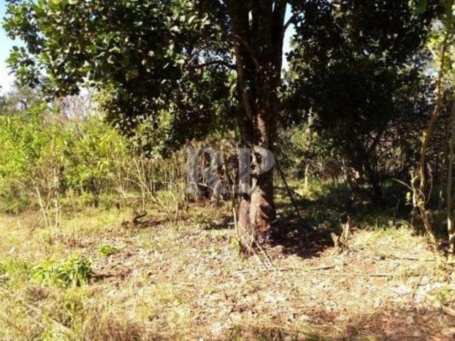 Sítio e chácara venda em Região Geográfica Imediata de Londrina, Londrina