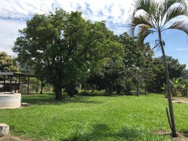 Sítio e chácara venda em Águas de São Pedro