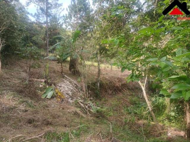 Sítio e chácara venda em Região Imediata de São Paulo, Região Metropolitana de São Paulo