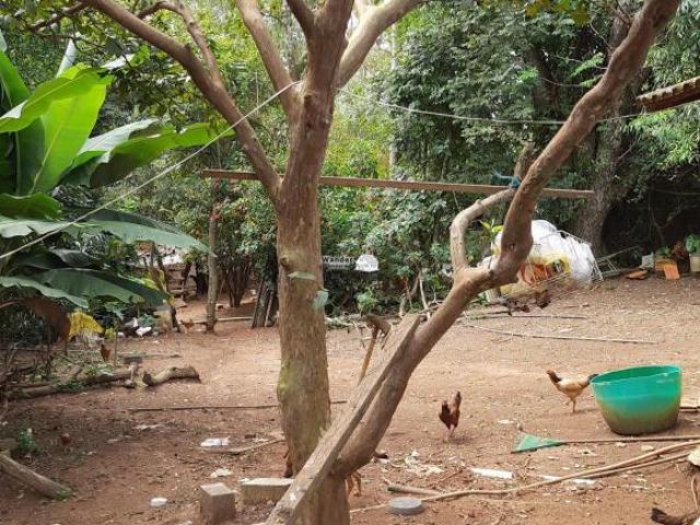Sítio e chácara venda em Região Imediata de Bragança Paulista, Bragança Paulista