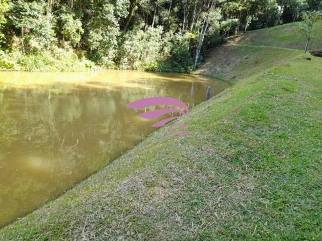 Sítio e chácara venda em Região Geográfica Imediata de Curitiba, Região Metropolitana de Curitiba