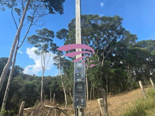 Sítio e chácara venda em Região Geográfica Imediata de Curitiba, Região Metropolitana de Curitiba