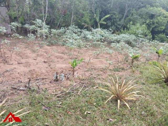 Sítio e chácara venda em Região Imediata de São Paulo, Região Metropolitana de São Paulo