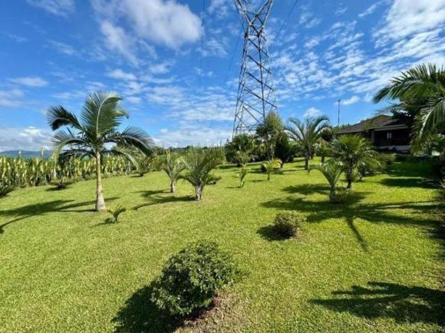 Sítio e chácara venda em Região Geográfica Imediata de Santa Cruz do Sul, Mato Leitão