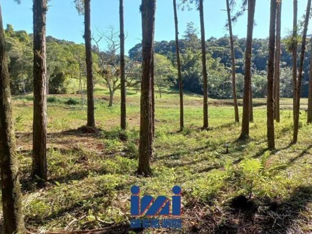 Sítio e chácara venda em Região Geográfica Imediata de Paranaguá, Morretes