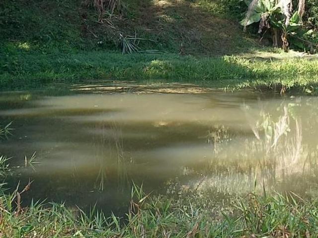 Sitio venda em Campo Magro, Ouro Fino de Baixo