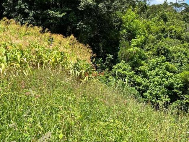 Sítio e chácara venda em Região Geográfica Imediata de Caxias do Sul, Alto Feliz