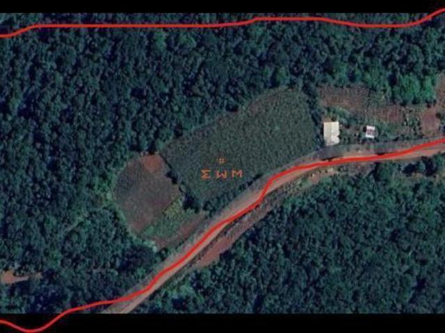 Sítio e chácara venda em Região Geográfica Imediata de Caxias do Sul, Alto Feliz