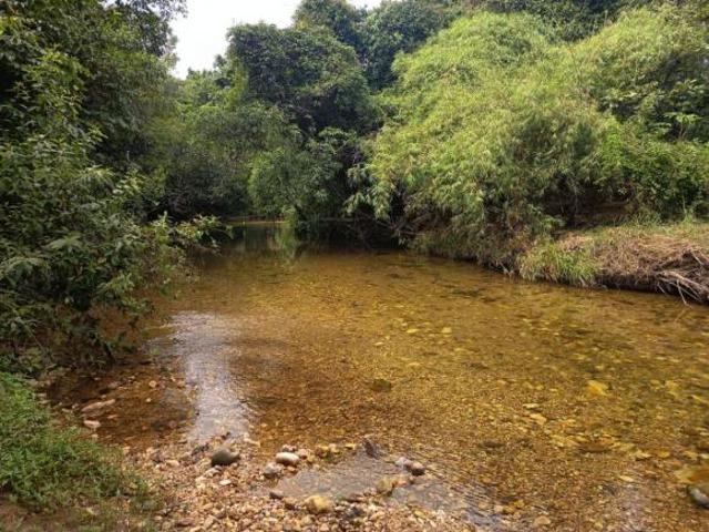 Sítio e chácara venda em Região Geográfica Imediata de Flores de Goiás, Alto Paraíso de Goiás