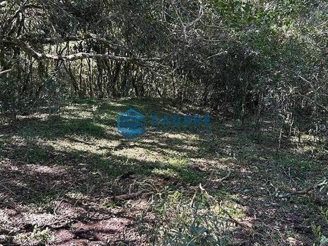 Sítio e chácara venda em Região Geográfica Imediata de Caxias do Sul, Caxias do Sul