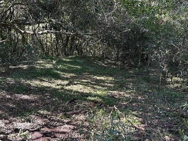 Sítio e chácara venda em Região Geográfica Imediata de Caxias do Sul, Caxias do Sul