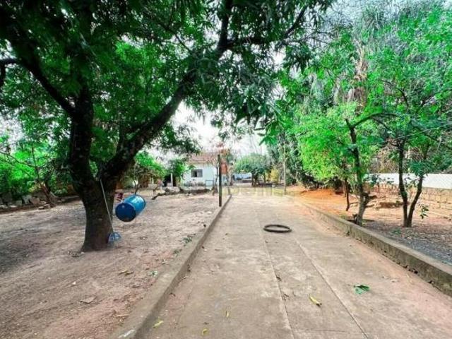 Sítio e chácara venda em Região Imediata de São José do Rio Preto, Região Metropolitana de São José do Rio Preto