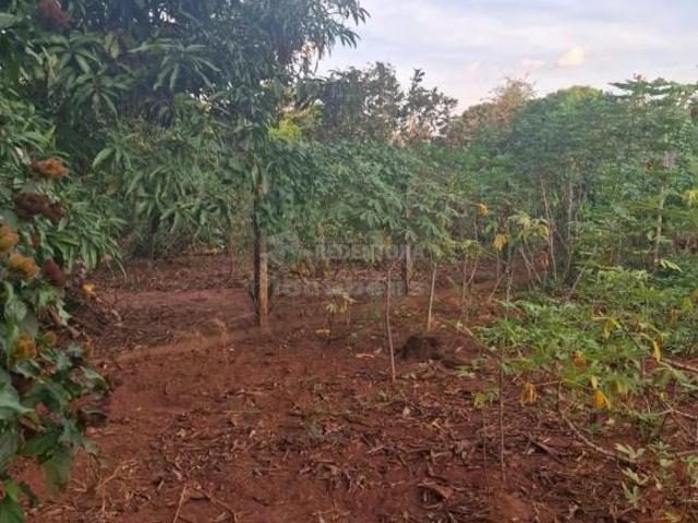 Sítio e chácara venda em Região Imediata de São José do Rio Preto, Região Metropolitana de São José do Rio Preto
