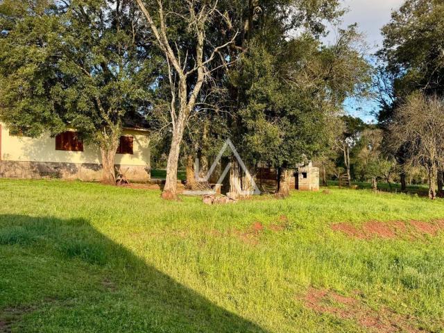Apartamento aluguel em Região Geográfica Imediata de Passo Fundo, Passo Fundo