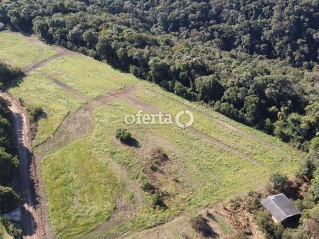 Sítio e chácara venda em Região Geográfica Imediata de Curitiba, Região Metropolitana de Curitiba