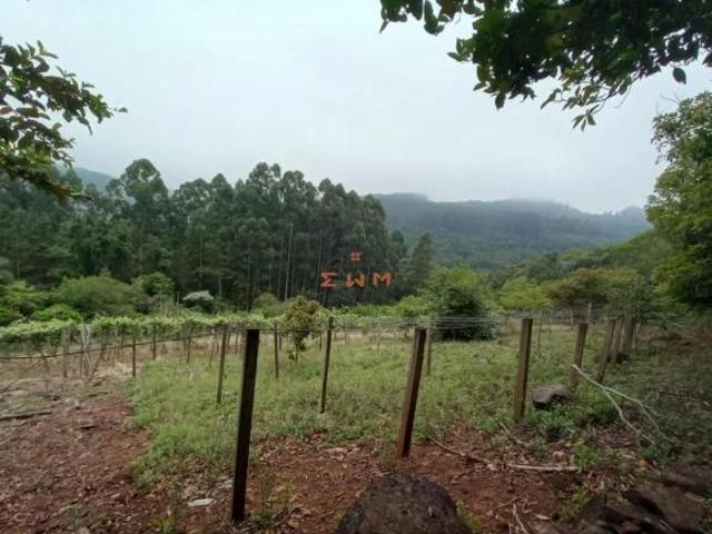 Sítio e chácara venda em Região Geográfica Imediata de Caxias do Sul, Farroupilha