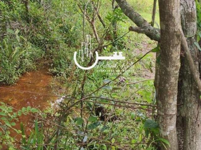 Sítio e chácara venda em Região Geográfica Imediata de Foz do Iguaçu, São Miguel do Iguaçu