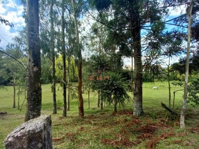 Sítio e chácara venda em Região Geográfica Imediata de Caxias do Sul, Farroupilha