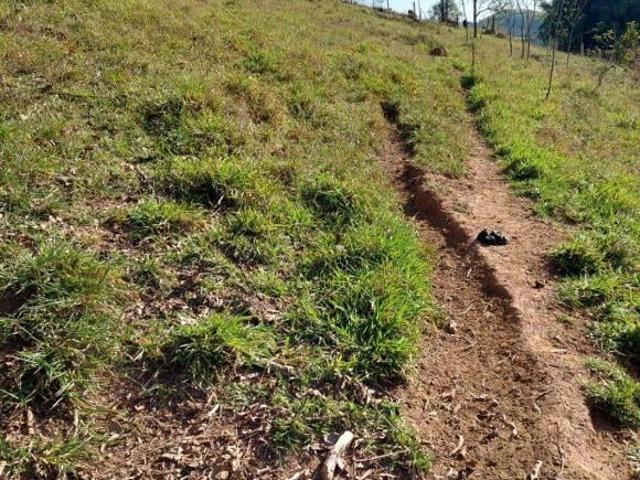 Sítio e chácara venda em Santa Branca