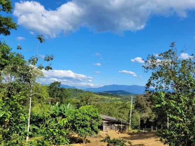 Sítio e chácara venda em Região Geográfica Imediata de Paranaguá, Antonina