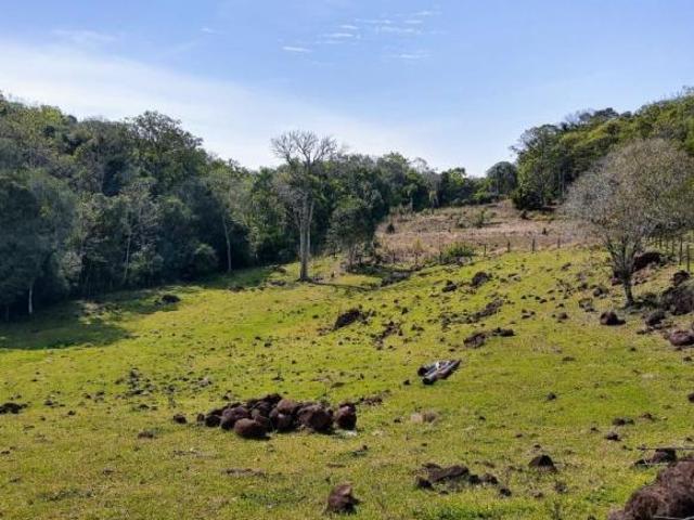 Sítio e chácara venda em Região Geográfica Imediata de Novo Hamburgo - São Leopoldo, Região Metropolitana de Porto Alegre