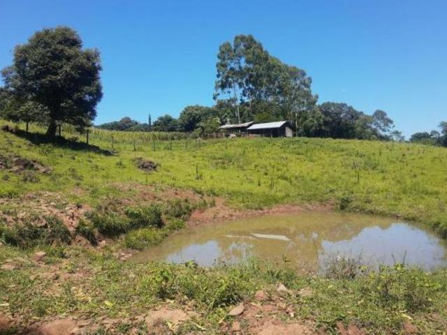 Sítio e chácara venda em Região Geográfica Imediata de Novo Hamburgo - São Leopoldo, Região Metropolitana de Porto Alegre