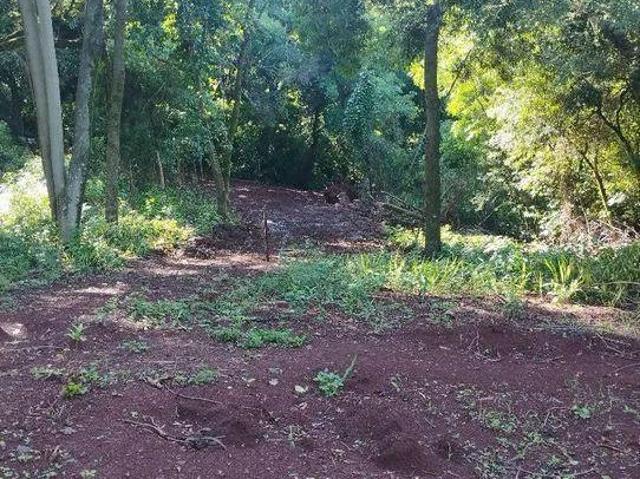 Sítio e chácara venda em Região Geográfica Imediata de Maringá, Marialva