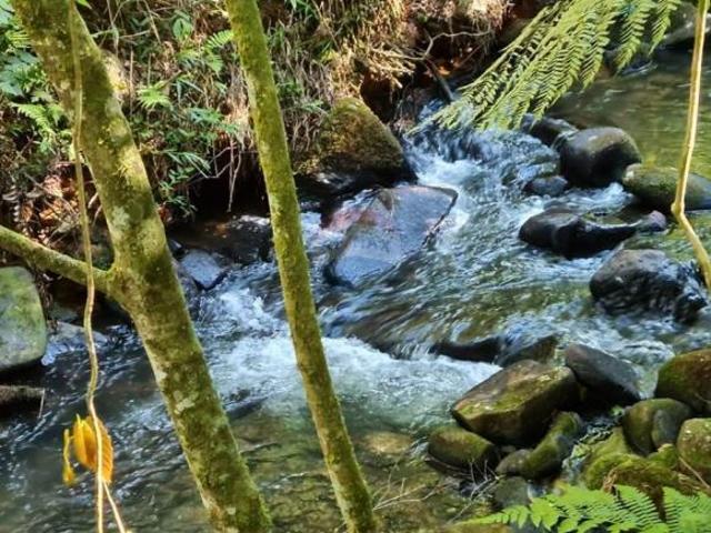 Sítio e chácara venda em Região Geográfica Imediata de Curitiba, Região Metropolitana de Curitiba