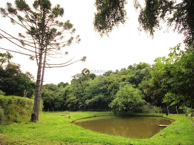 Sítio e chácara venda em Região Geográfica Imediata de Curitiba, Região Metropolitana de Curitiba
