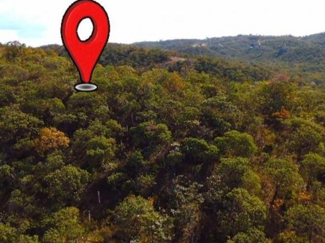 Sítio e chácara venda em Região Geográfica Imediata do Distrito Federal, Região Integrada de Desenvolvimento do Distrito Federal e Entorno