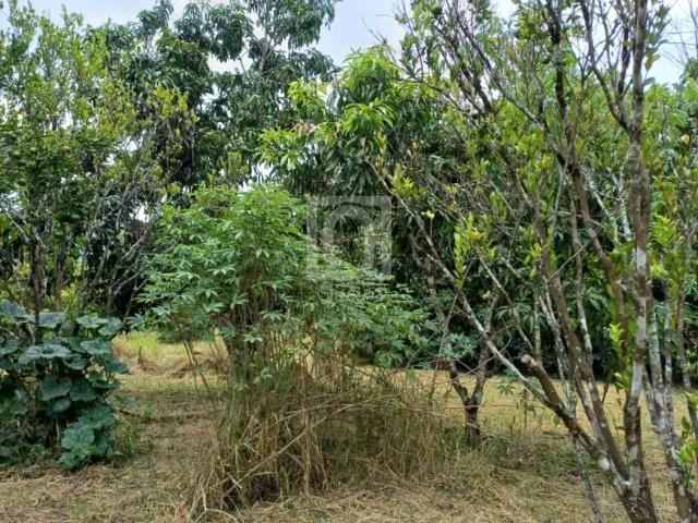 Fazenda venda em Região Imediata de Sorocaba, Região Metropolitana de Sorocaba