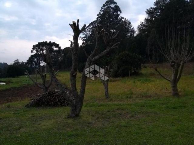 Sítio e chácara venda em Região Geográfica Imediata de Caxias do Sul, Caxias do Sul