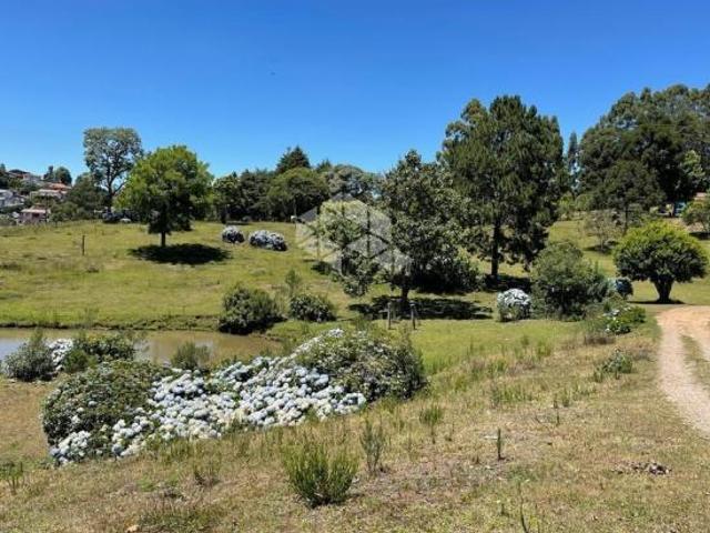 Sítio e chácara venda em Região Geográfica Imediata de Caxias do Sul, Caxias do Sul